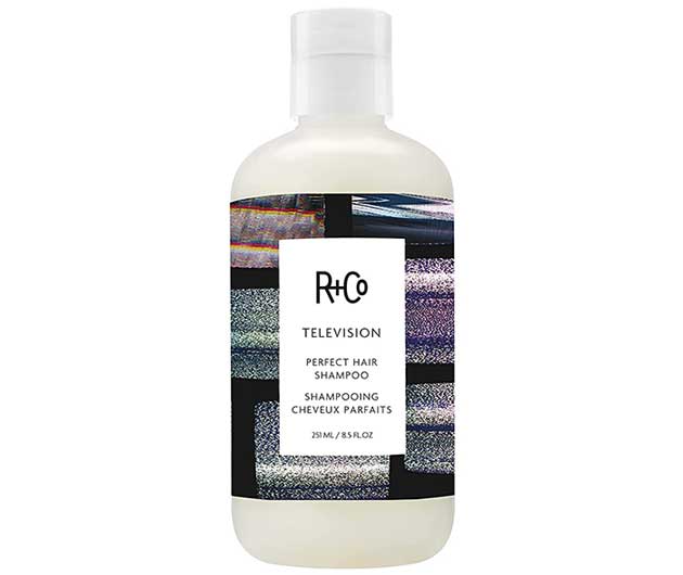 Television Perfect Hair Shampoo - R+Co