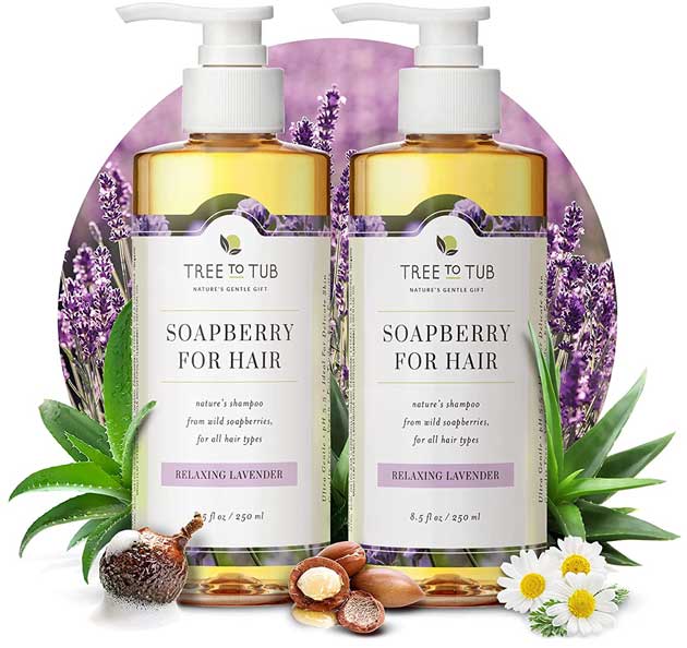 The Best Vegan Shampoo for Dandruff VeganHairGrowth