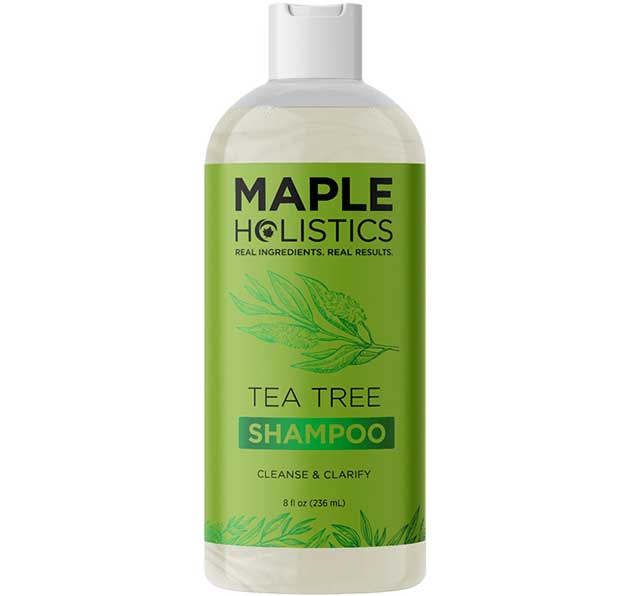 Tea Tree Shampoo for Men and Women - Invigorating Tea Tree Oil Shampoo - Maple Holistics
