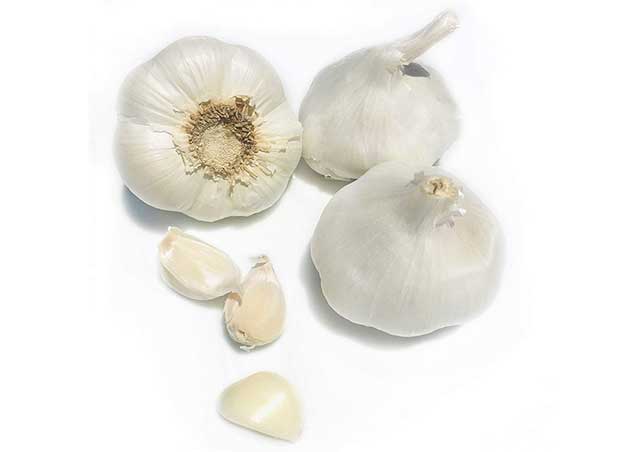 Fresh Garlic Bulbs - Kejora